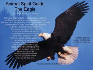 baldeaglespiritguide